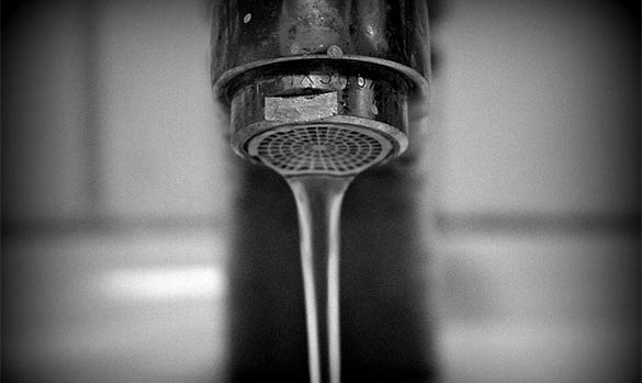 Turn off the water while brushing your teeth