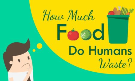 How Much Food Do Humans Waste